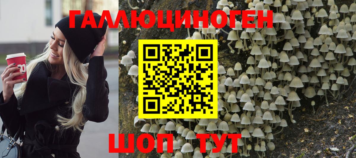 Псилоцибиновые грибы Magic Shrooms Кимры
